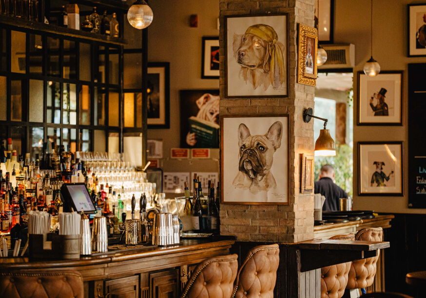 cheeky pup gallery image 4