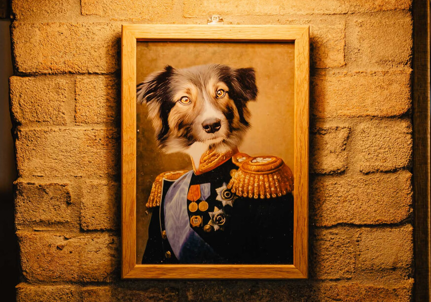 cheeky pup gallery image 5