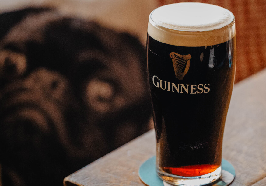 cheeky pup gallery image 7