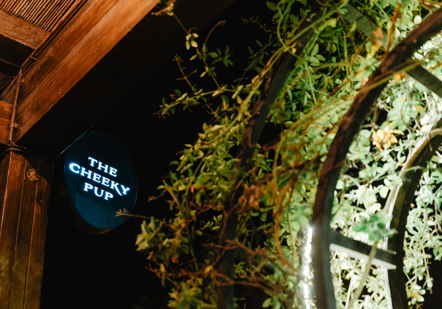 cheeky pup gallery image 10