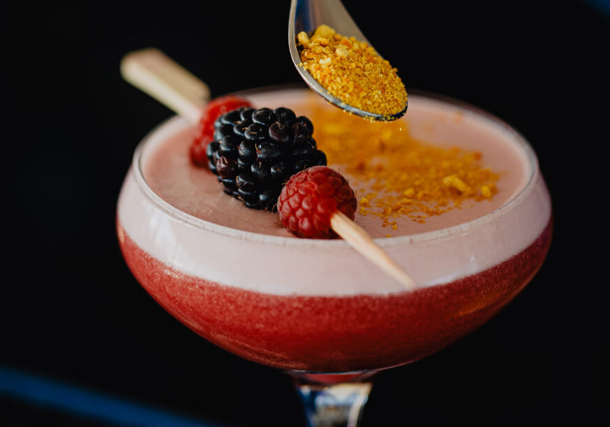 bold octopus gallery image 1