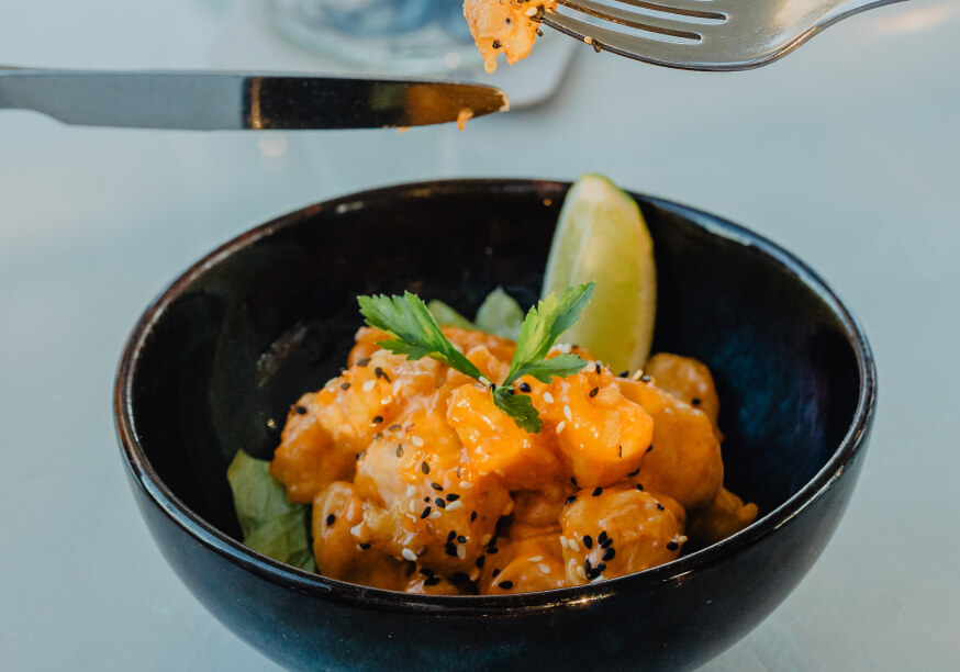 bold octopus gallery image 2