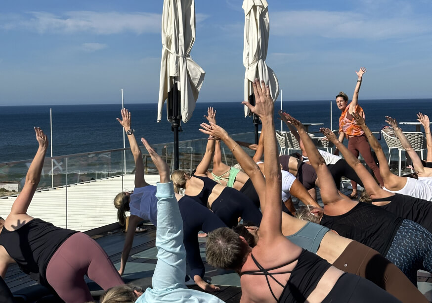 bold octopus gallery image 3