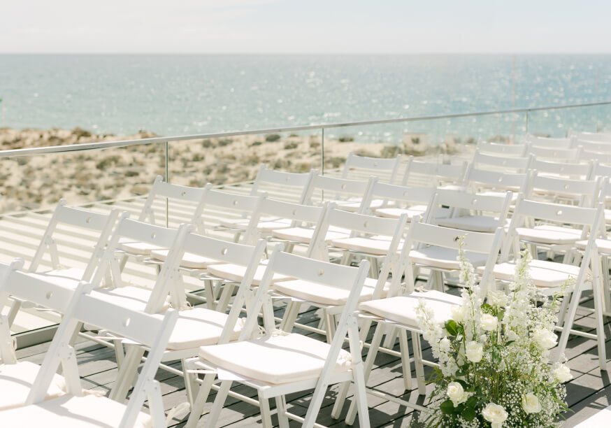 bold octopus gallery image 4