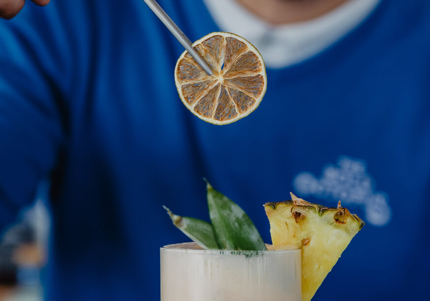 bold octopus gallery image 5