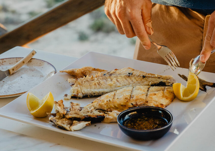 bold octopus gallery image 6