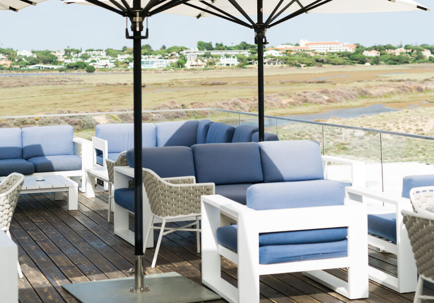 bold octopus gallery image 7