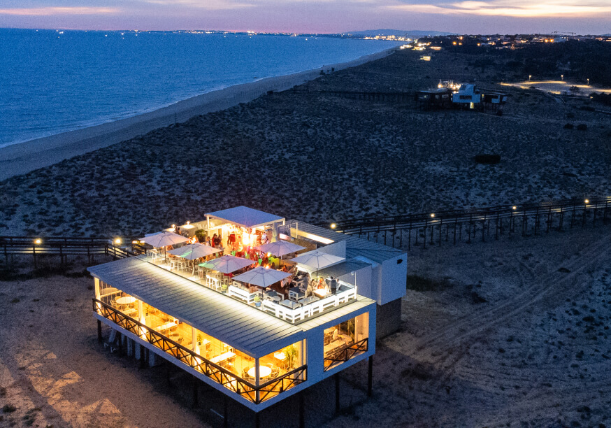 bold octopus gallery image 8