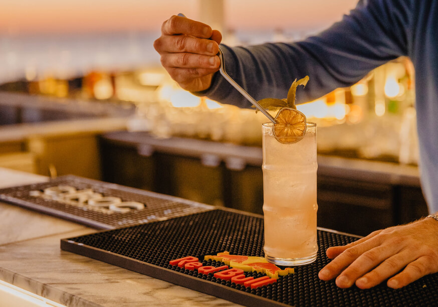 bold octopus gallery image 9