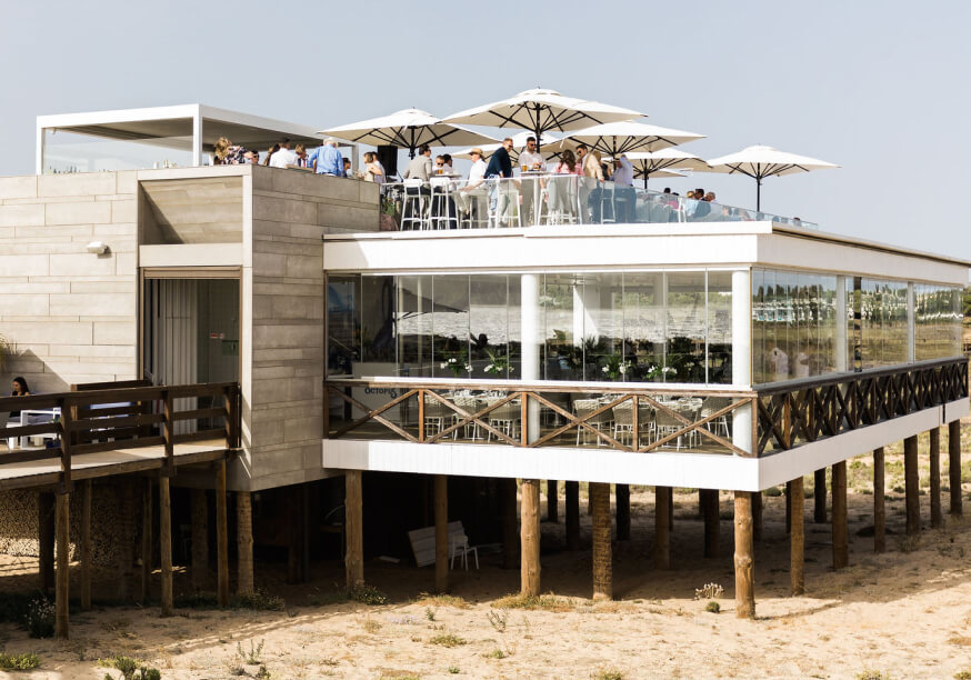 bold octopus gallery image 10